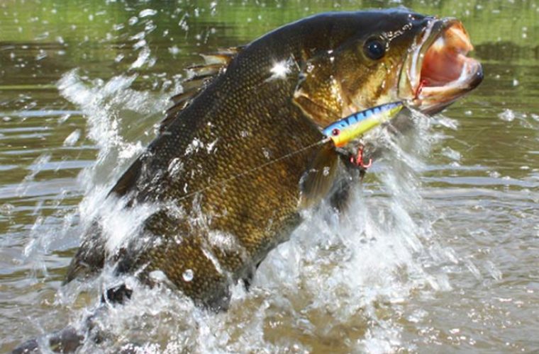 Fishing